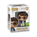 Pop! Harry Potter (Casting Patronus), , hi-res (1).jpg