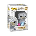 Buckbeak Flocked 1z.jpg